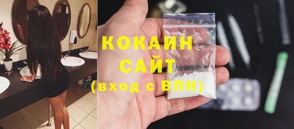 шишки Горняк