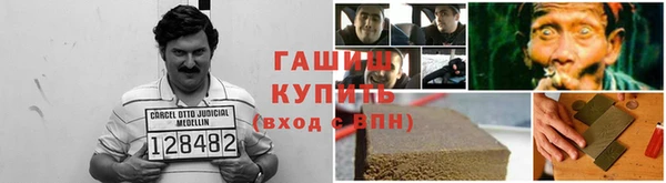 гашик Богданович