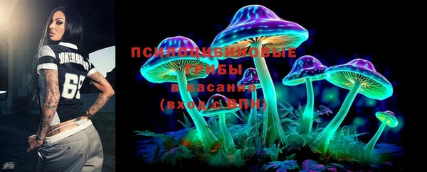 не бодяженный Лабытнанги