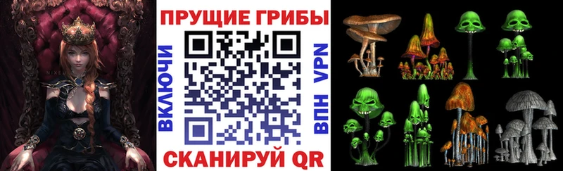 Псилоцибиновые грибы ЛСД  Благовещенск 