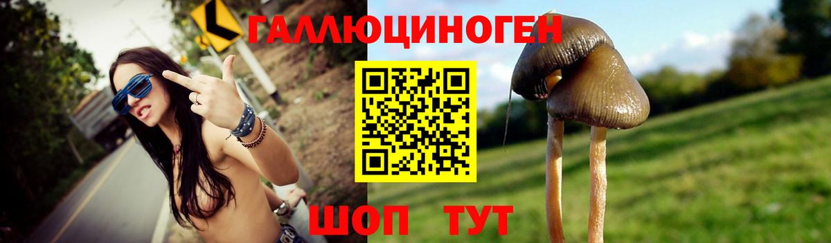 Благовещенск  Псилоцибиновые грибы GOLDEN TEACHER  Вход с VPN 
